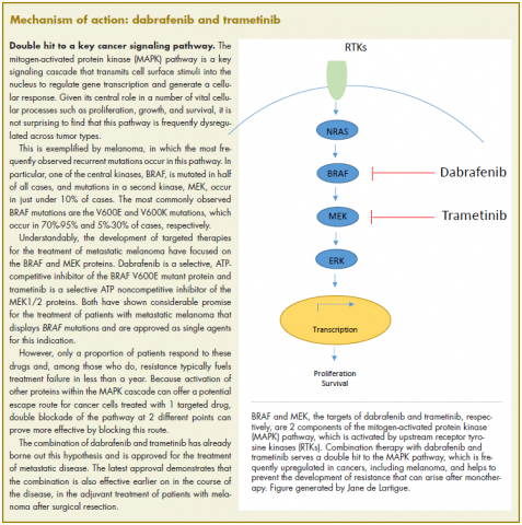 Mechanism of action for dabrafenib and trametinib